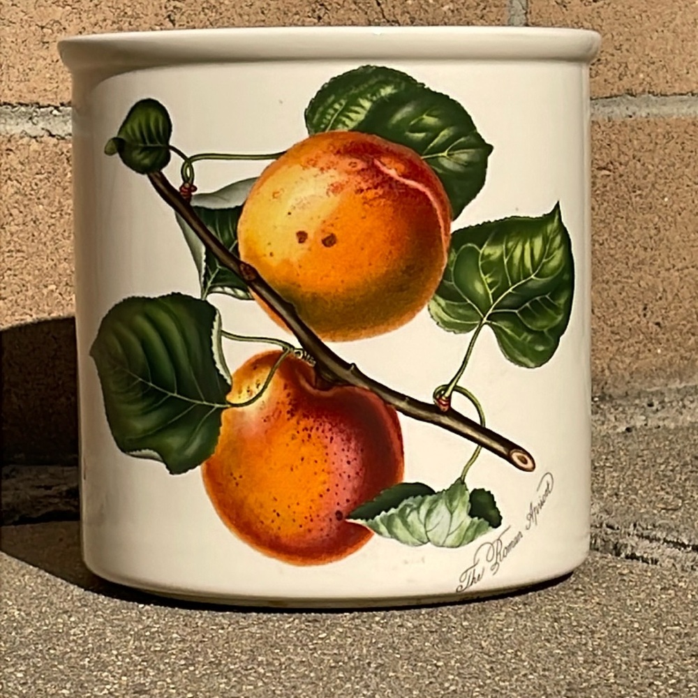 Portmeirion large ceramic cachepot planter